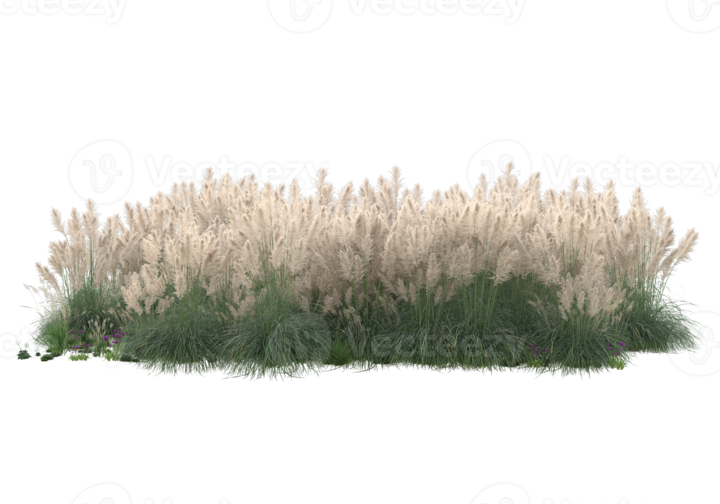 Grass with flowers isolated on transparent background. 3d rendering - illustration png