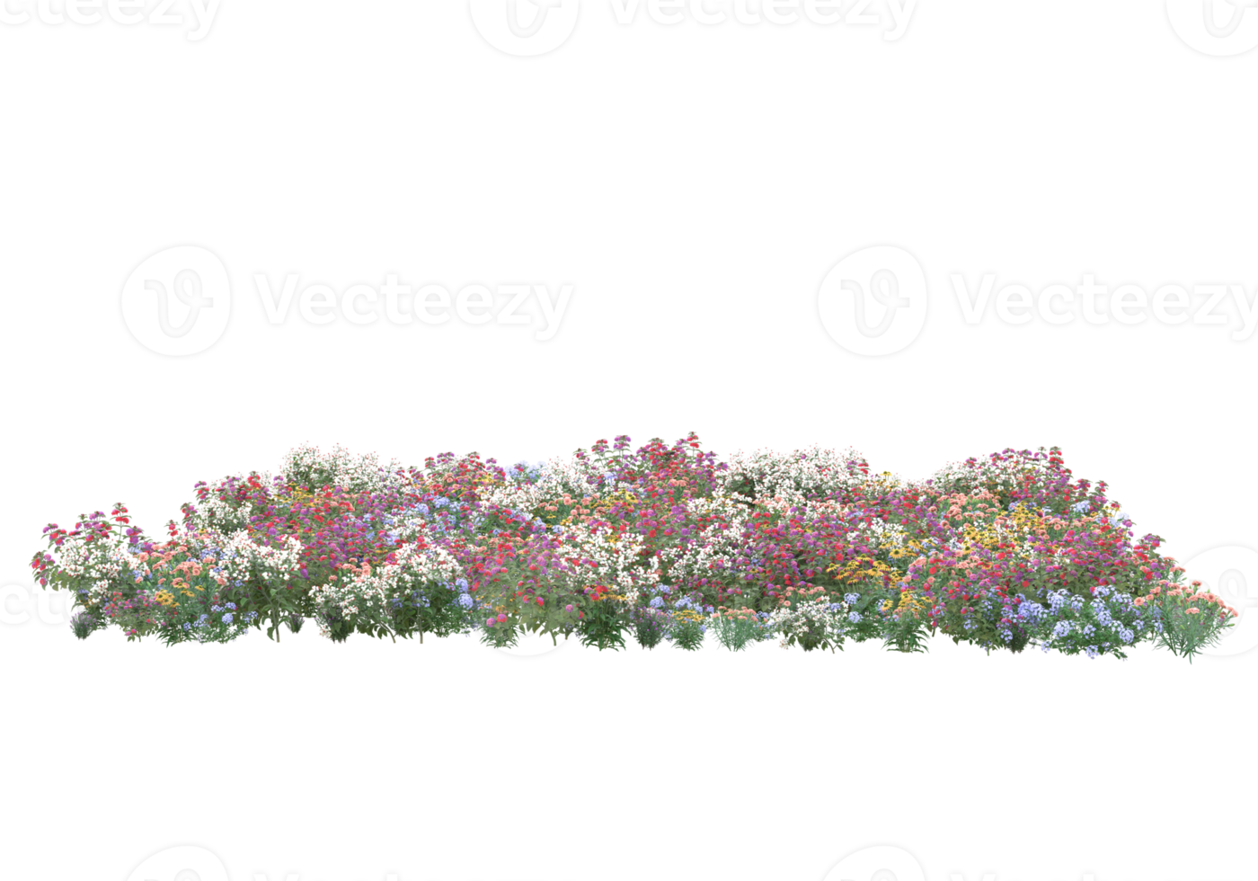 Grass with flowers isolated on transparent background. 3d rendering - illustration png