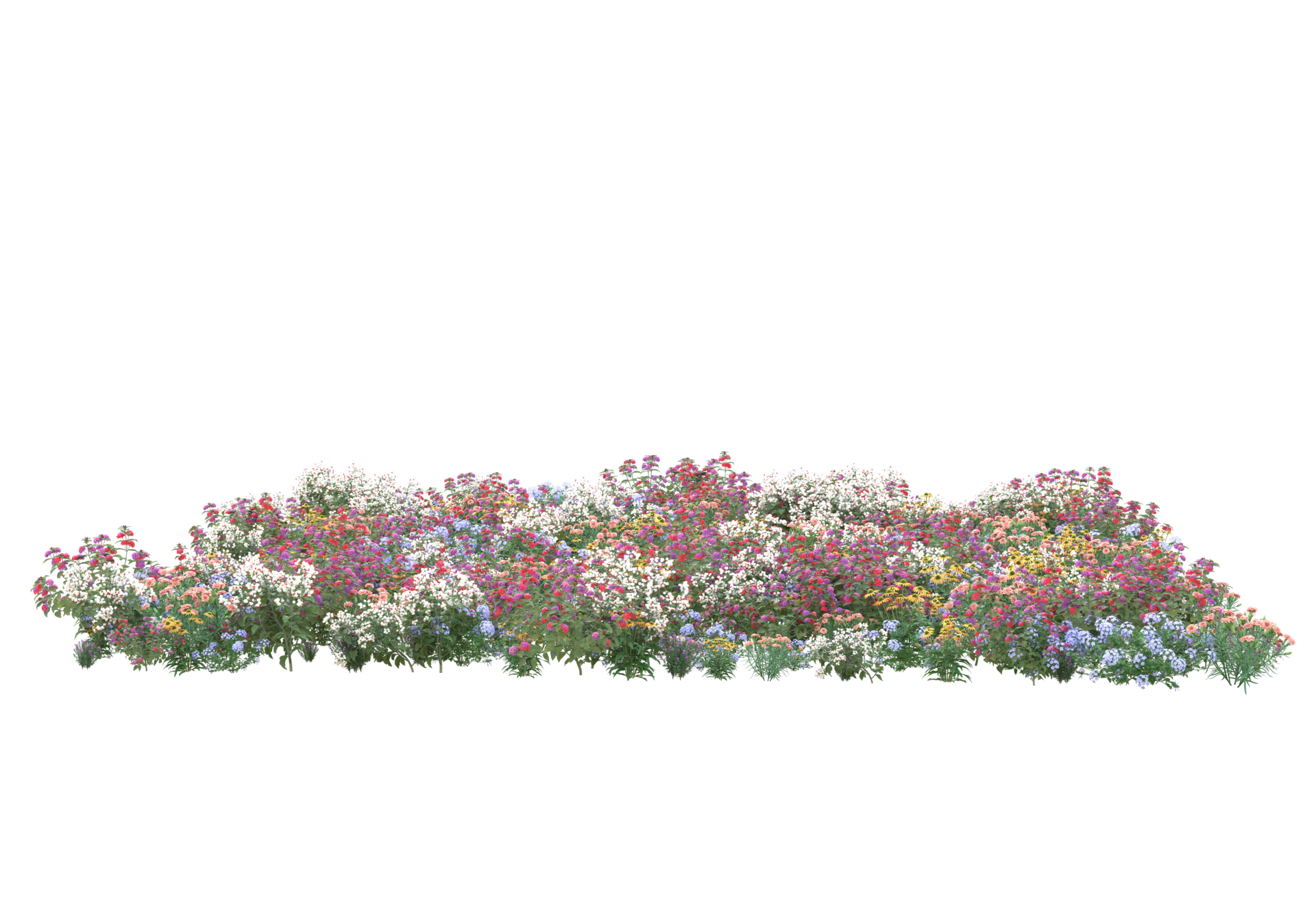 Grass with flowers isolated on transparent background. 3d rendering