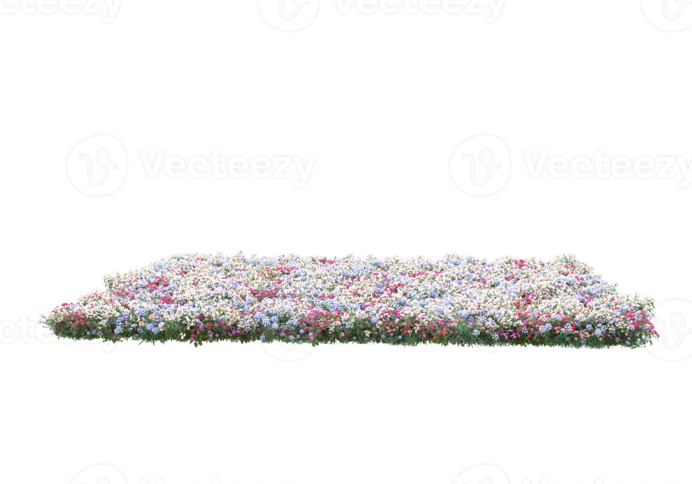 Grass with flowers isolated on transparent background. 3d rendering - illustration png