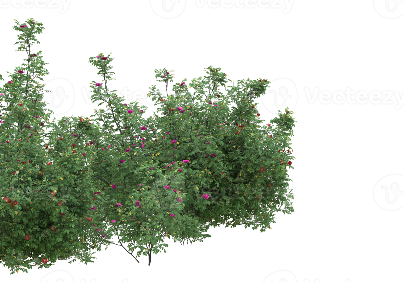 Gras mit Blumen isoliert auf transparentem Hintergrund. 3D-Rendering - Abbildung png