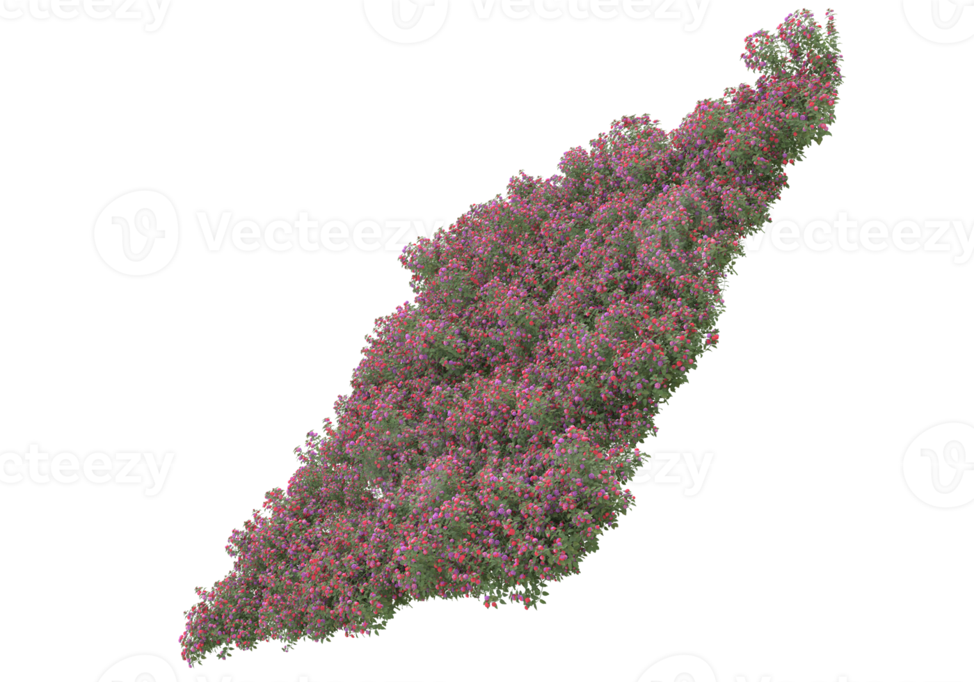 herbe avec des fleurs isolées sur fond transparent. rendu 3d - illustration png