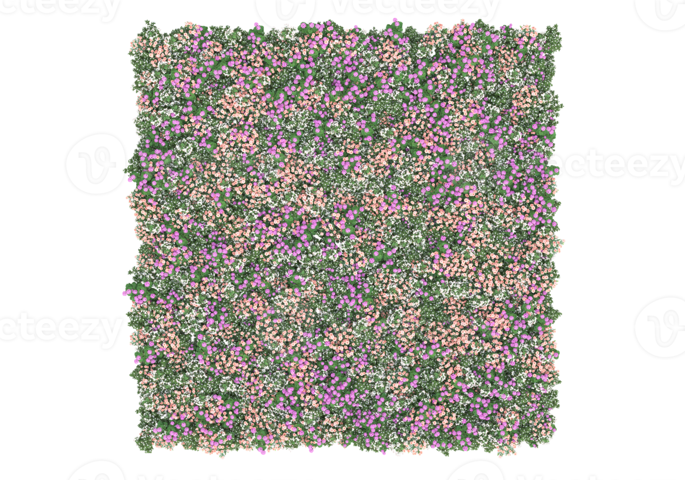 Grass with flowers isolated on transparent background. 3d rendering - illustration png