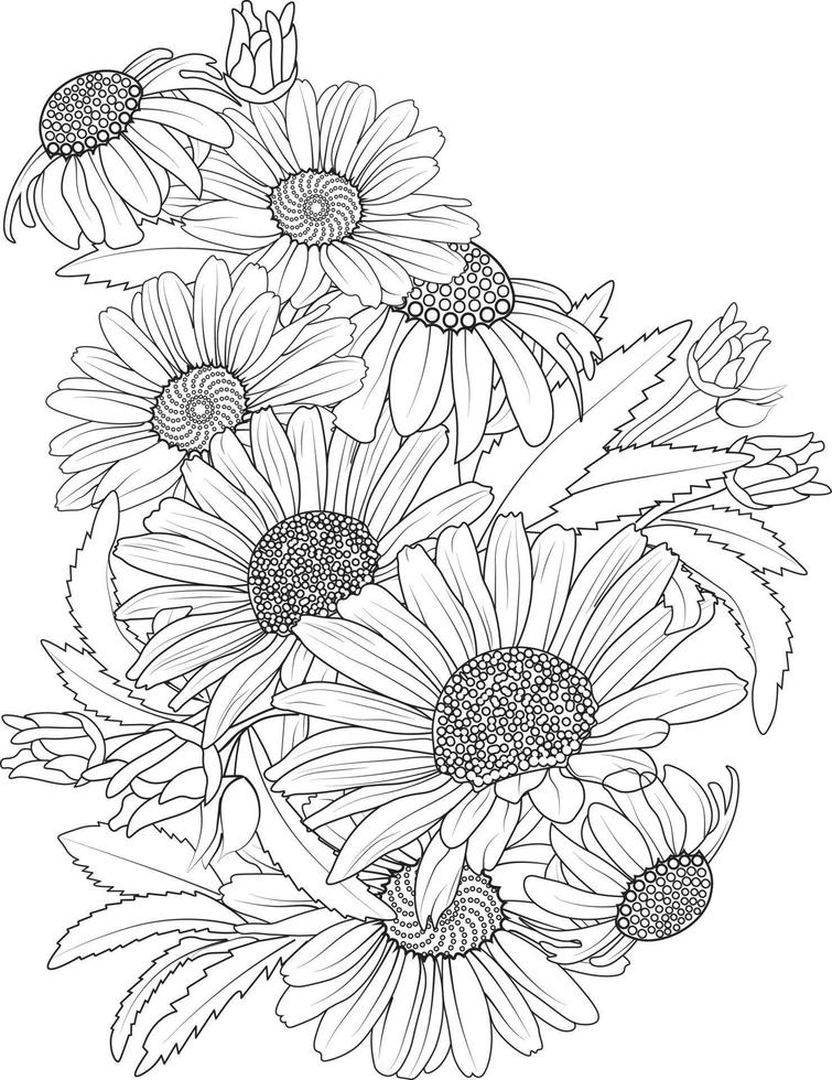 Sketch of outline daisy flower coloring book hand drawn vector illustration artistically engraved ink art blossom narcissus flowers isolated on white background clip art.