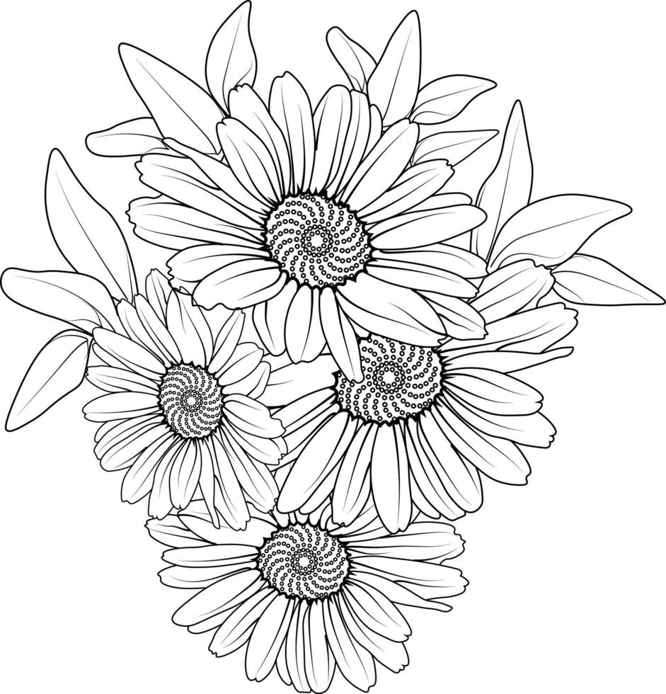 ramo de flor de margarita dibujo a lápiz dibujado a mano página para colorear y libro para adultos aislado sobre fondo blanco tatuaje de elemento floral, arte de tinta de ilustración. vector