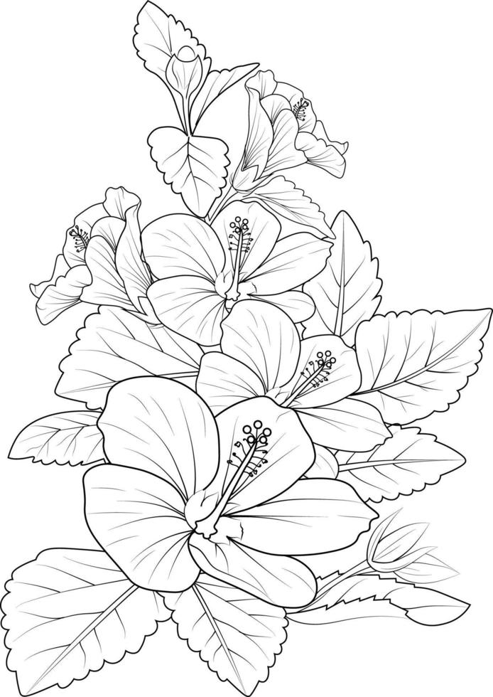 Hibiscus flowr vector illustration of a beautiful flowers bouquet, hand-drawn coloring book of artistic, blossom flowers sharon isolated on white background tattoo design.