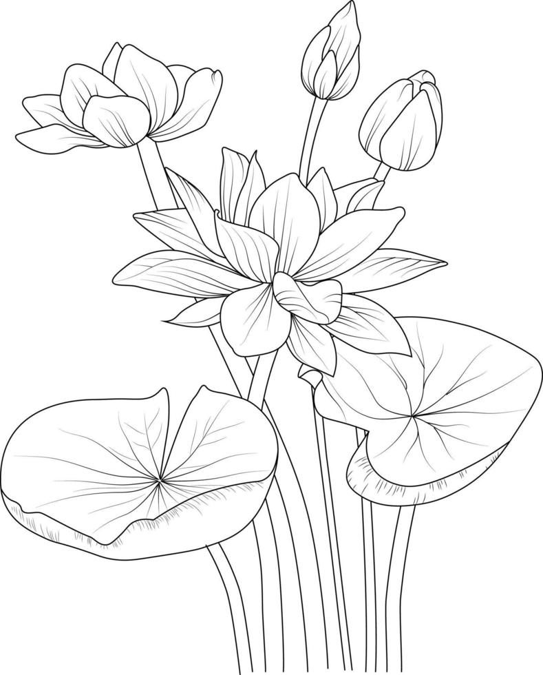 Coloring pages for adults, hand-drawn waterlily flower bouquet of lotus