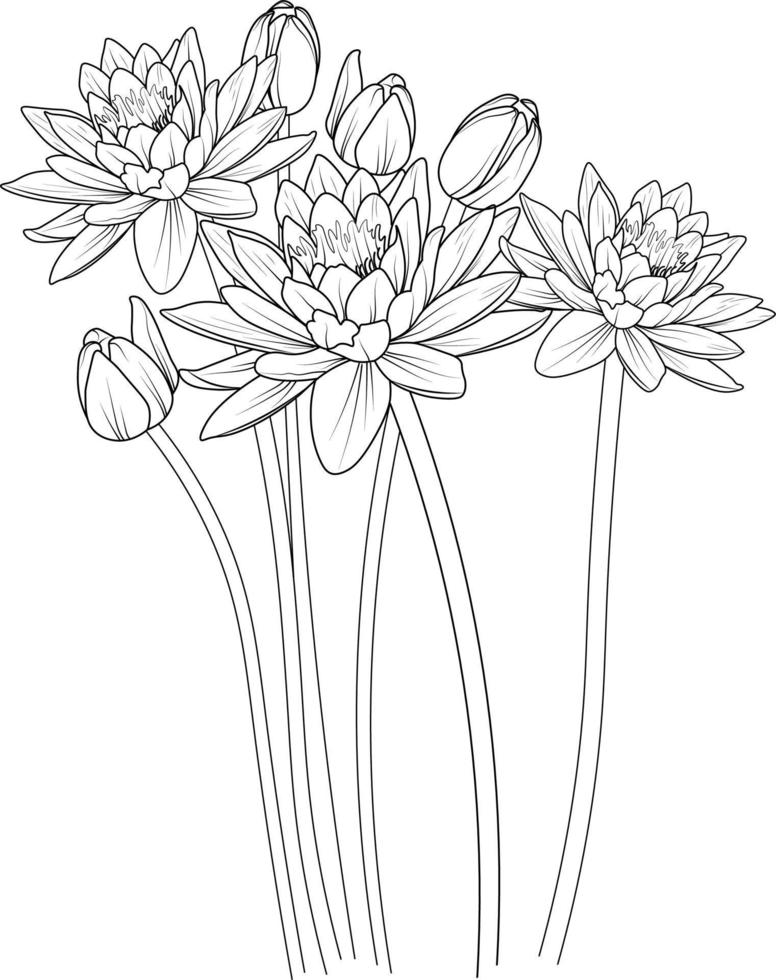 Coloring pages for children, easy sketch art of lotus flowers, Lovely vector illustration spring flowers with beautiful decoration isolated on white background.