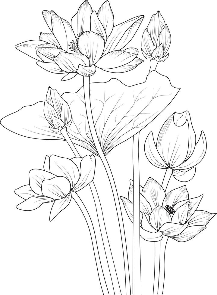 Lotus flower sketch art, vintage style printed for cute flower coloring pages.Vector illustration of a Beautiful flower with a bouquet of waterlily, and leaves. isolated on white background. vector