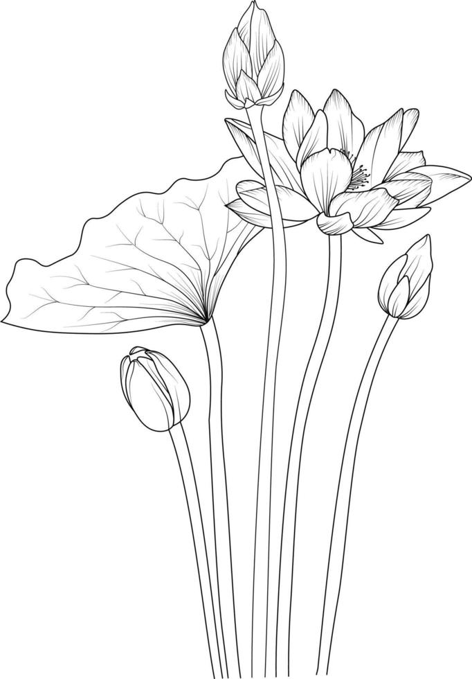 Coloring pages for children, easy sketch art of lotus flowers, Lovely vector illustration spring flowers with beautiful decoration isolated on white background.