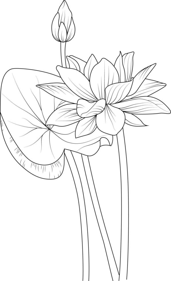 página de coloreado de flores y libros, boceto vectorial monocromático dibujado a mano, flor de nenúfar, fondo floral vectorial con colección de hojas naturales de loto, arte de lápiz ilustrativo, imagen prediseñada aislada. vector