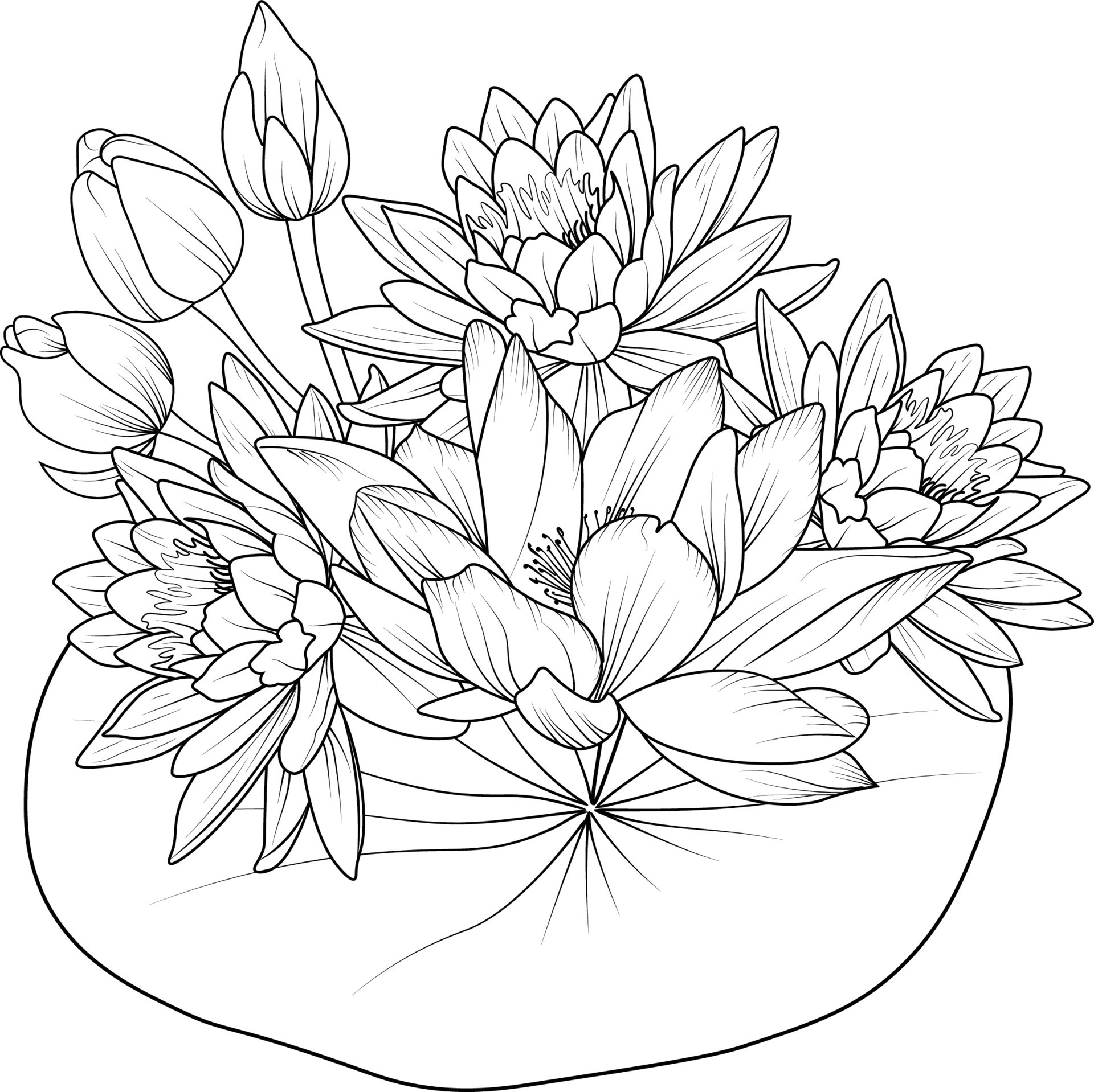 Premium Vector | Lotus flowers line art hand made drawings coloring pages  for kids and adult