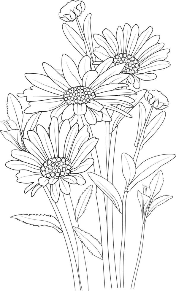 Daisy flower bouquet of vector sketch hand drawn illustration, natural collaction branch of leaves bud  vase outline drawing ingraved ink art isolated on white background