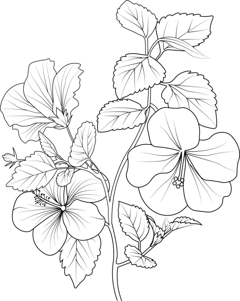 ramo de flores de hibisco dibujado a mano ilustración de boceto vectorial arte de tinta grabado colección de rama de hoja botánica aislada en la página de color de fondo blanco y libros. vector