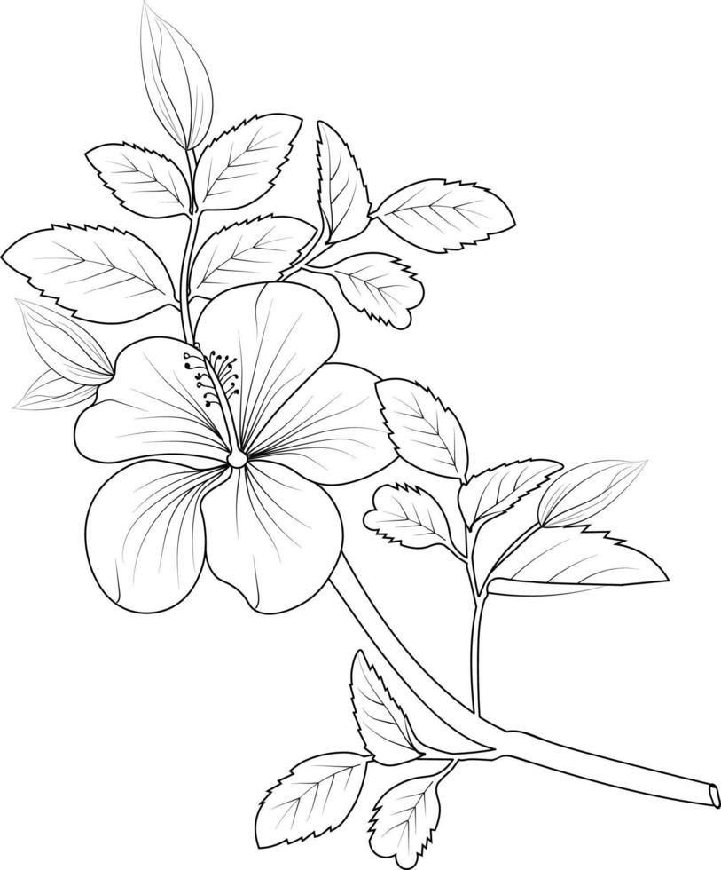 ramo de flores de hibisco dibujado a mano ilustración de boceto vectorial arte de tinta grabado colección de rama de hoja botánica aislada en la página de color de fondo blanco y libros. vector