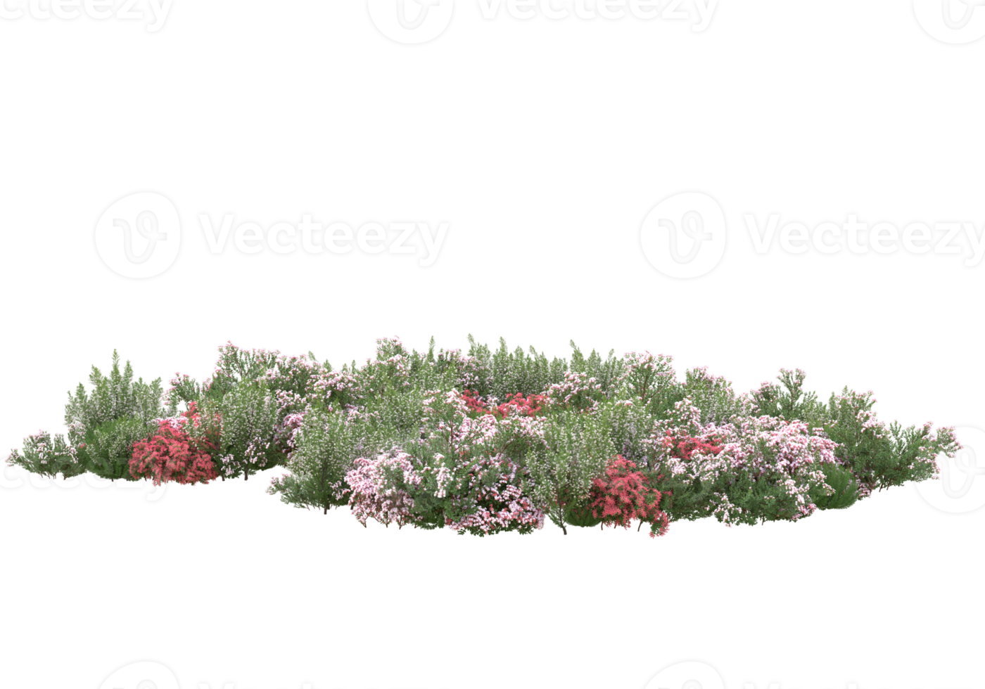 Grass with flowers isolated on transparent background. 3d rendering - illustration png