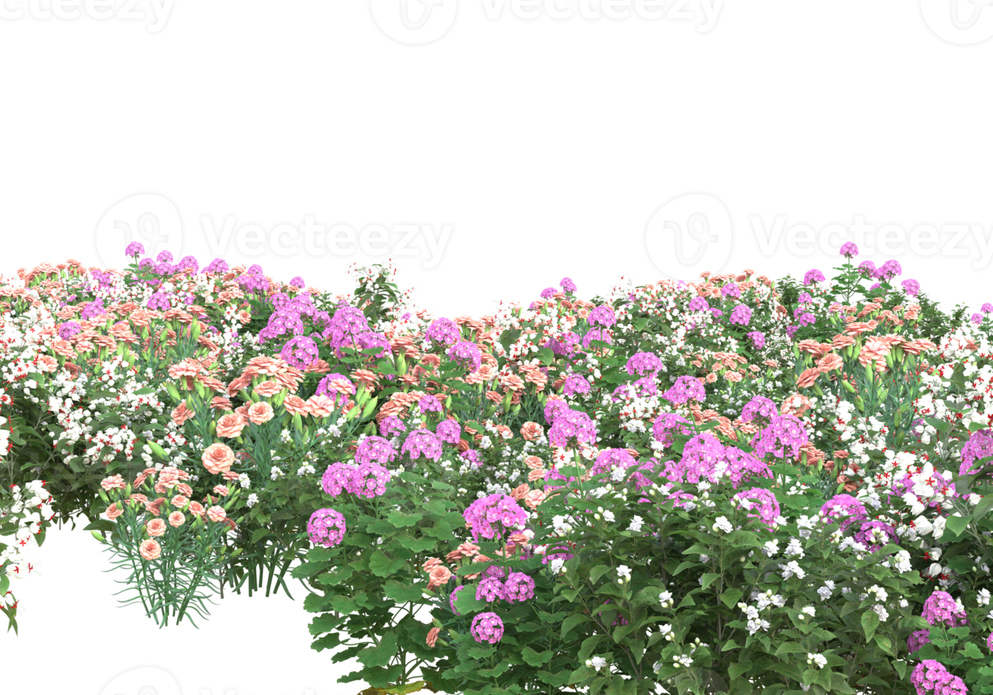 Grass with flowers isolated on transparent background. 3d rendering - illustration png