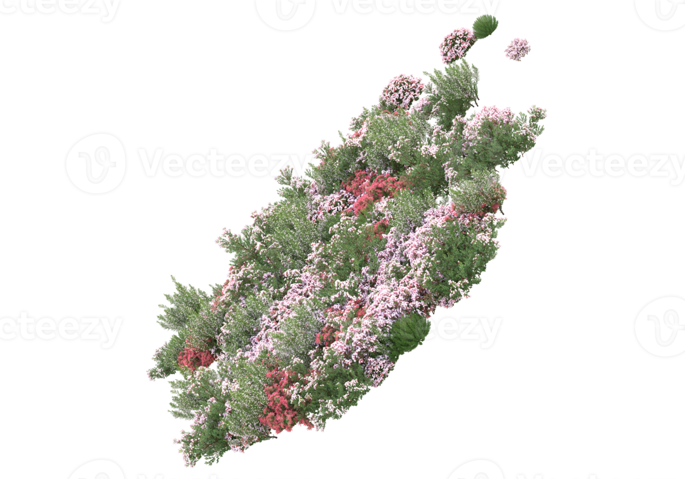 Grass with flowers isolated on transparent background. 3d rendering - illustration png