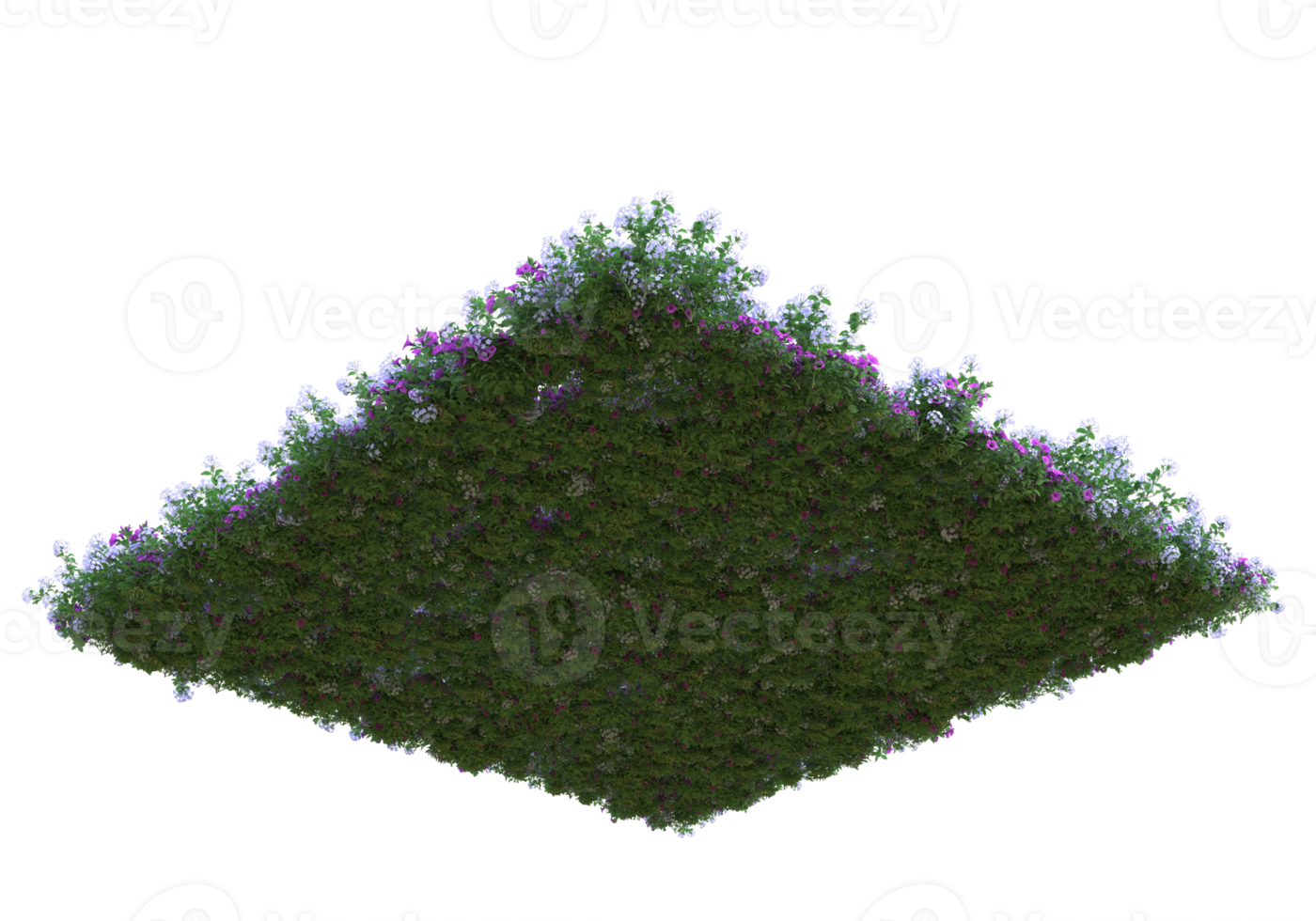 Grass with flowers isolated on transparent background. 3d rendering - illustration png