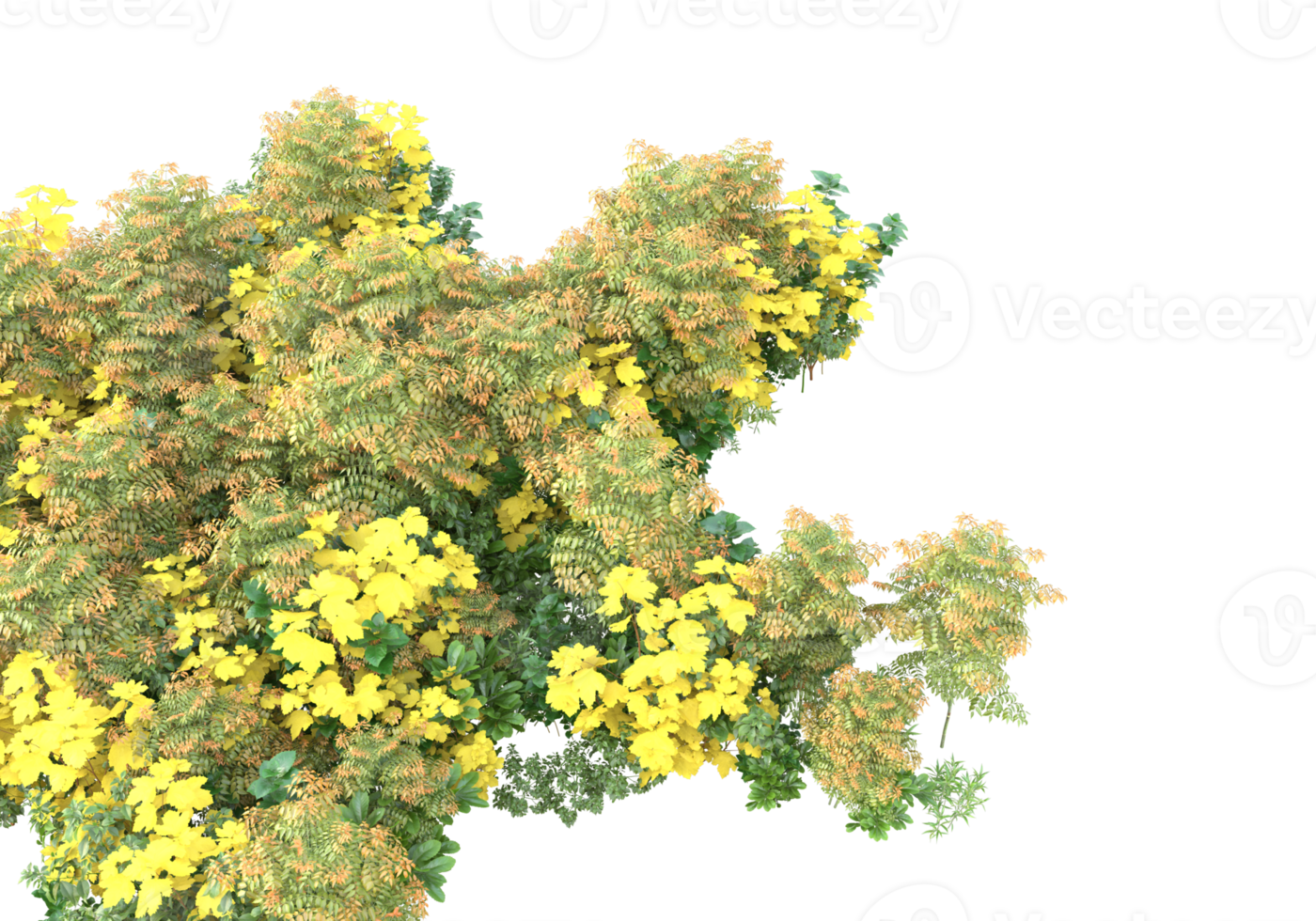 gräs med blommor isolerat på transparent bakgrund. 3d tolkning - illustration png