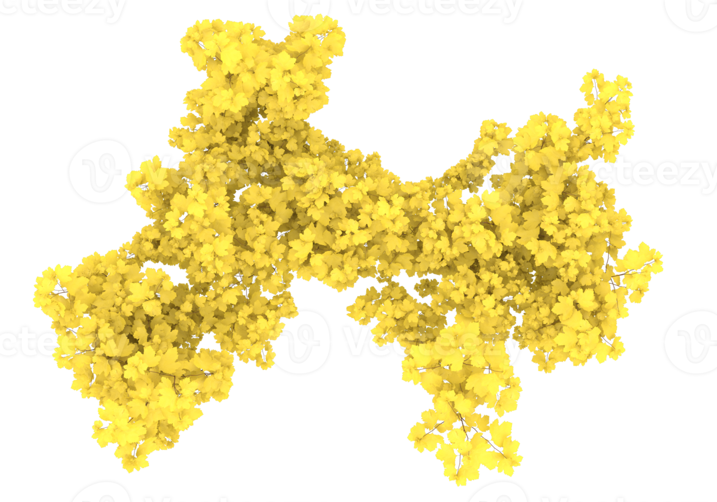 Gras mit Blumen isoliert auf transparentem Hintergrund. 3D-Rendering - Abbildung png