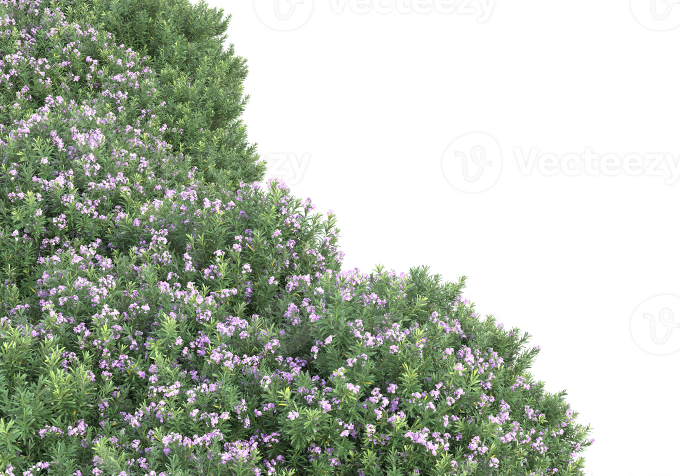 Grass with flowers isolated on transparent background. 3d rendering - illustration png