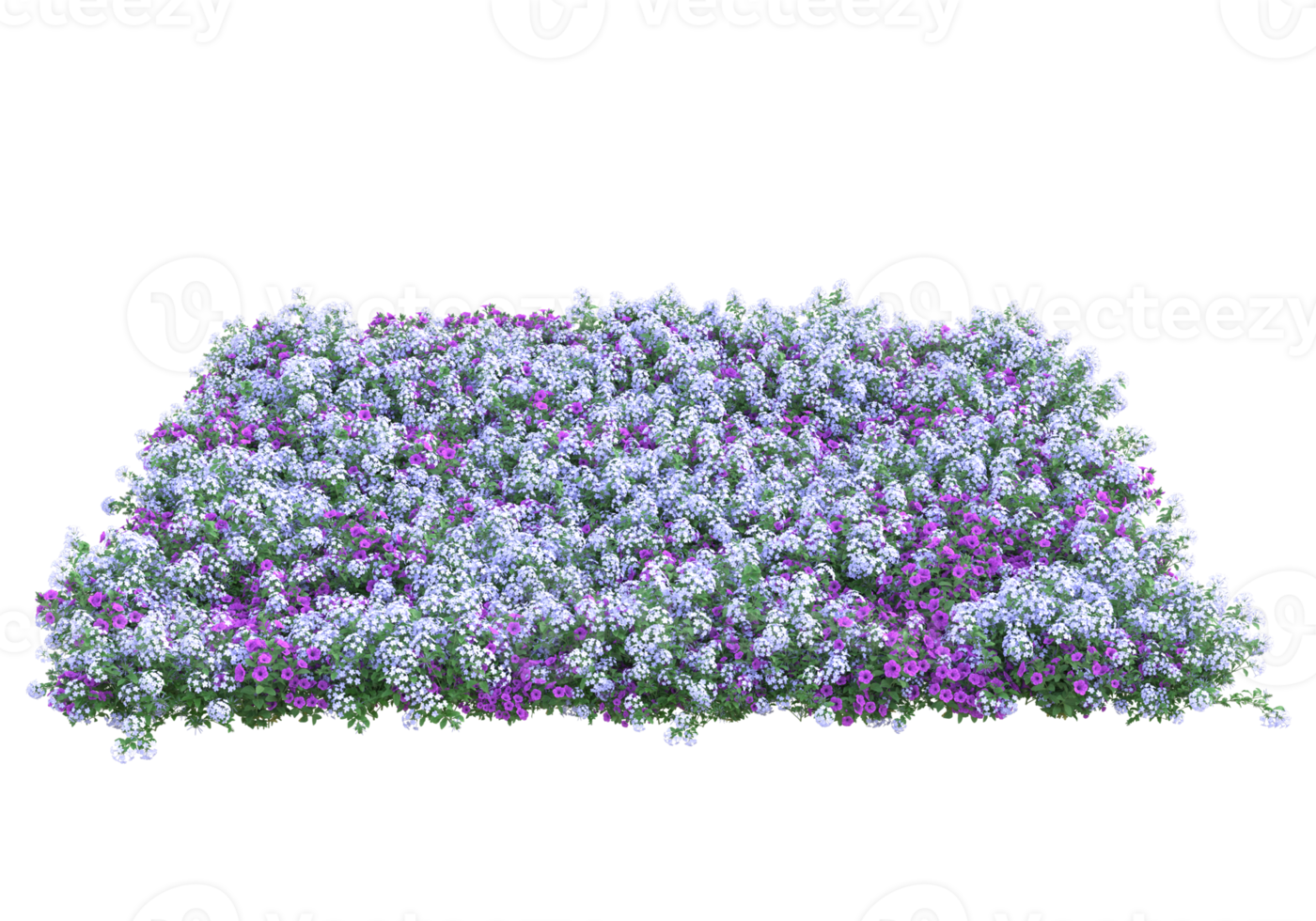 Grass with flowers isolated on transparent background. 3d rendering - illustration png