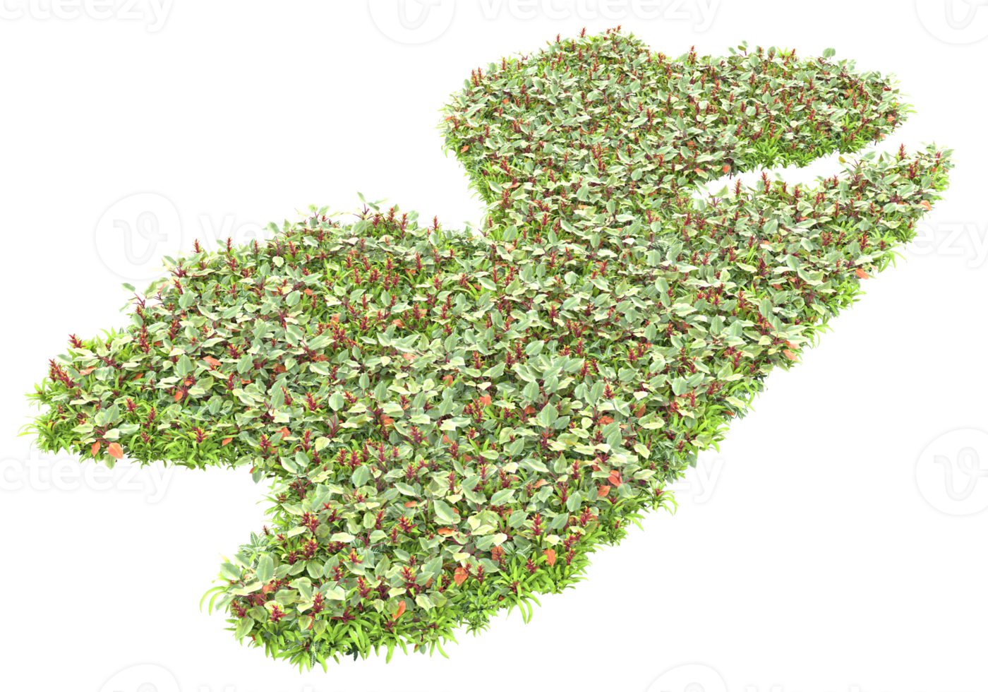 Grass with flowers isolated on transparent background. 3d rendering - illustration png