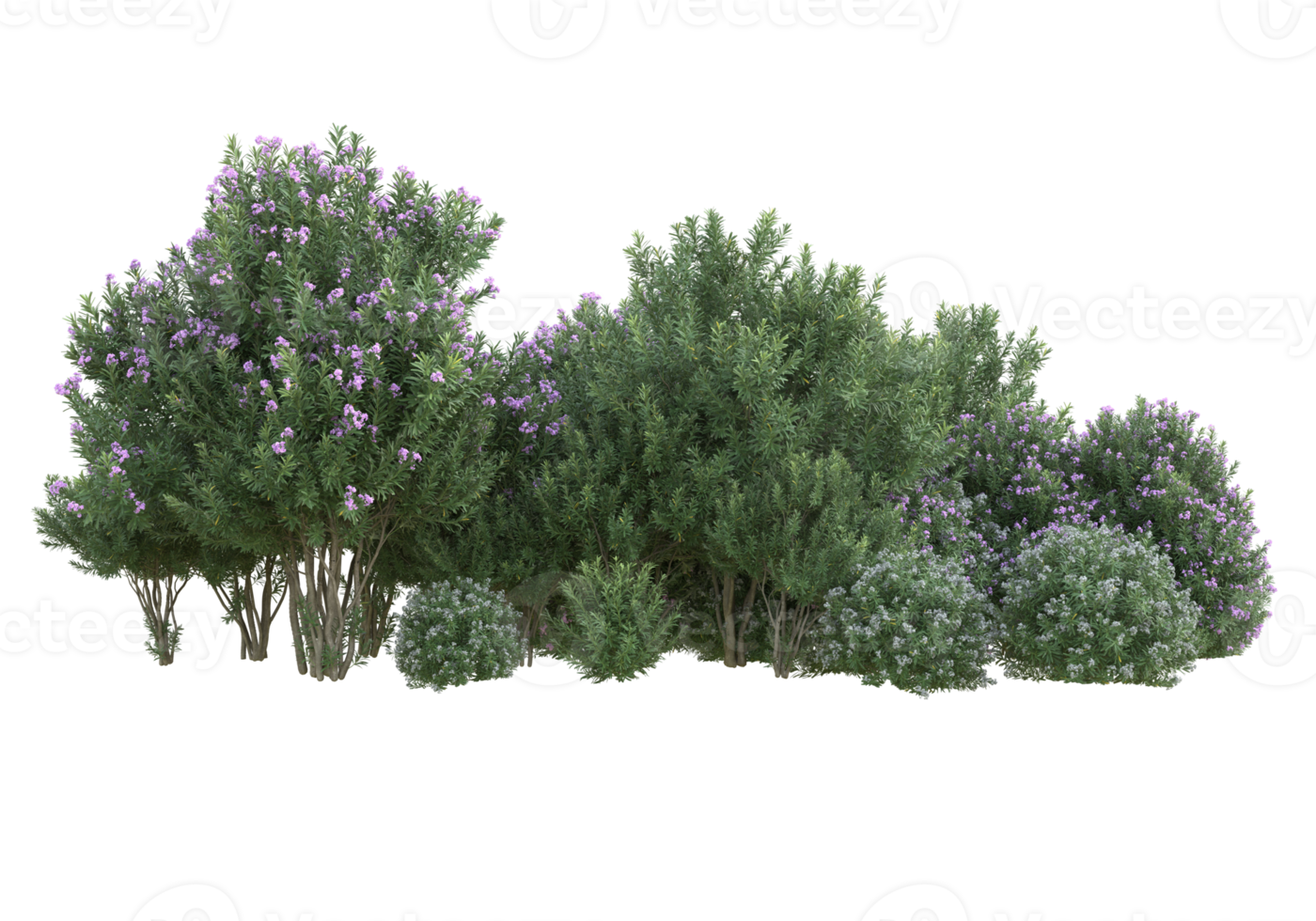 gras met bloemen geïsoleerd Aan transparant achtergrond. 3d renderen - illustratie png