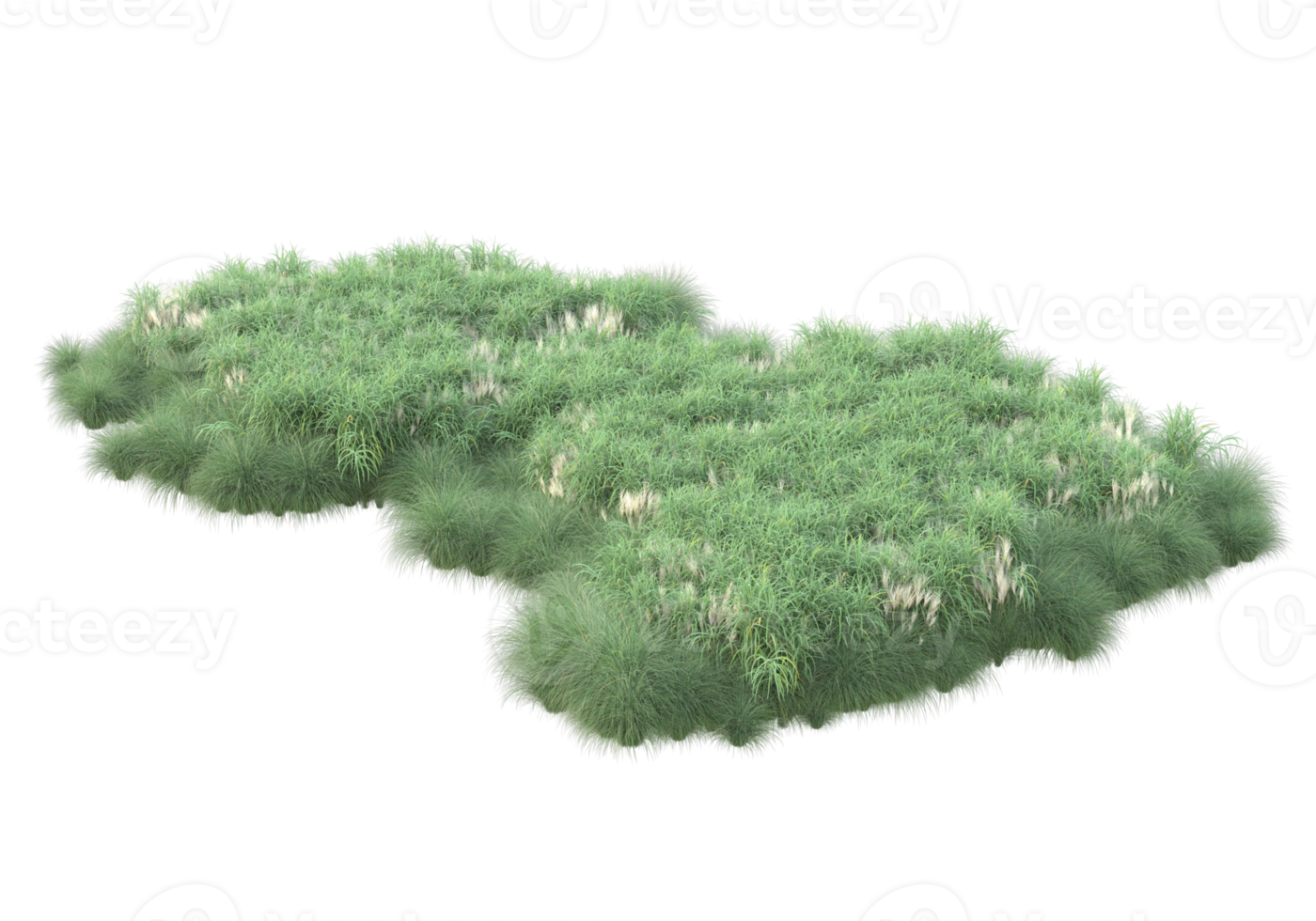 Grass with flowers isolated on transparent background. 3d rendering - illustration png