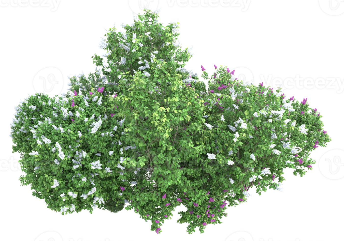 Grass with flowers isolated on transparent background. 3d rendering - illustration png