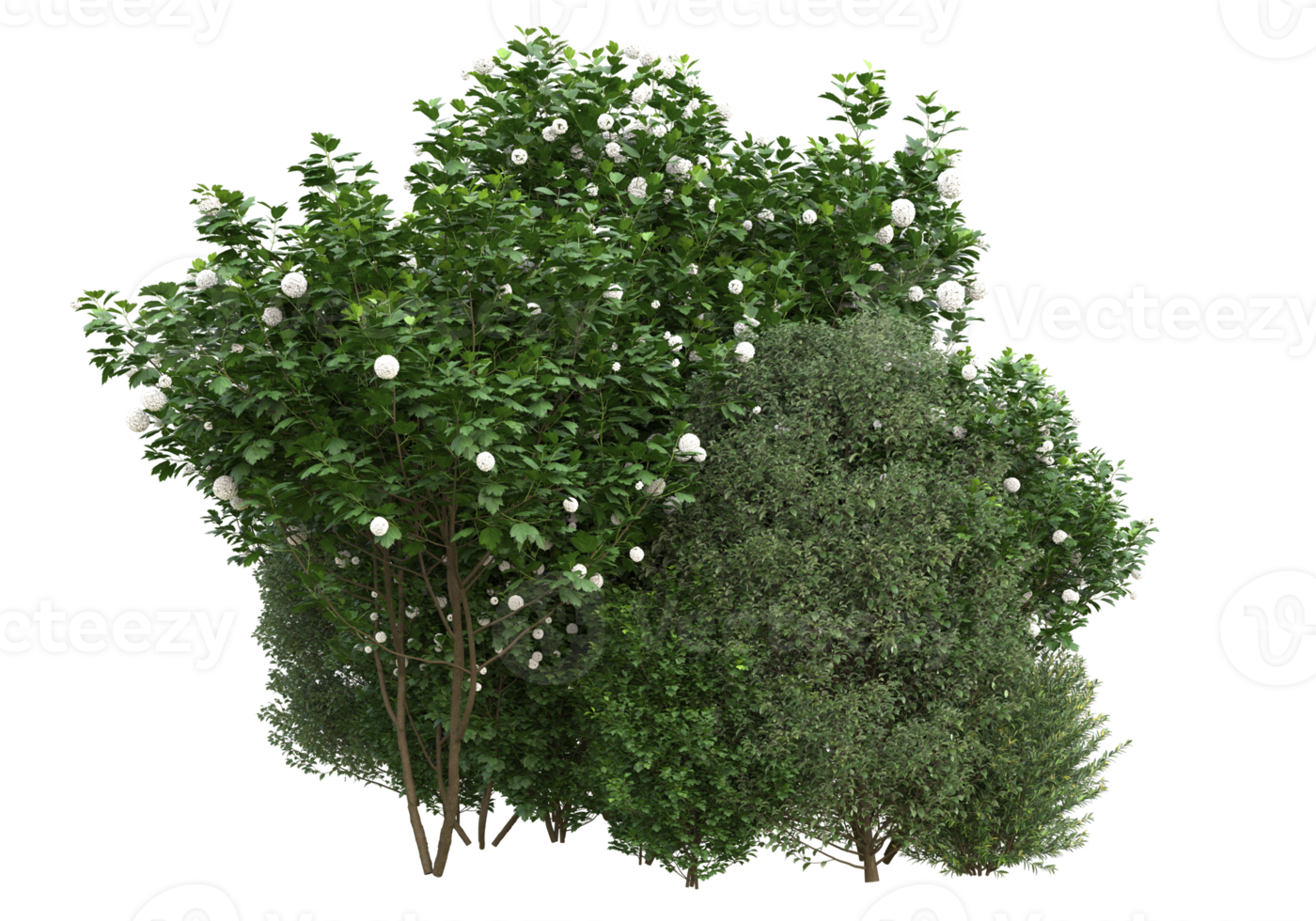 Grass with flowers isolated on transparent background. 3d rendering - illustration png