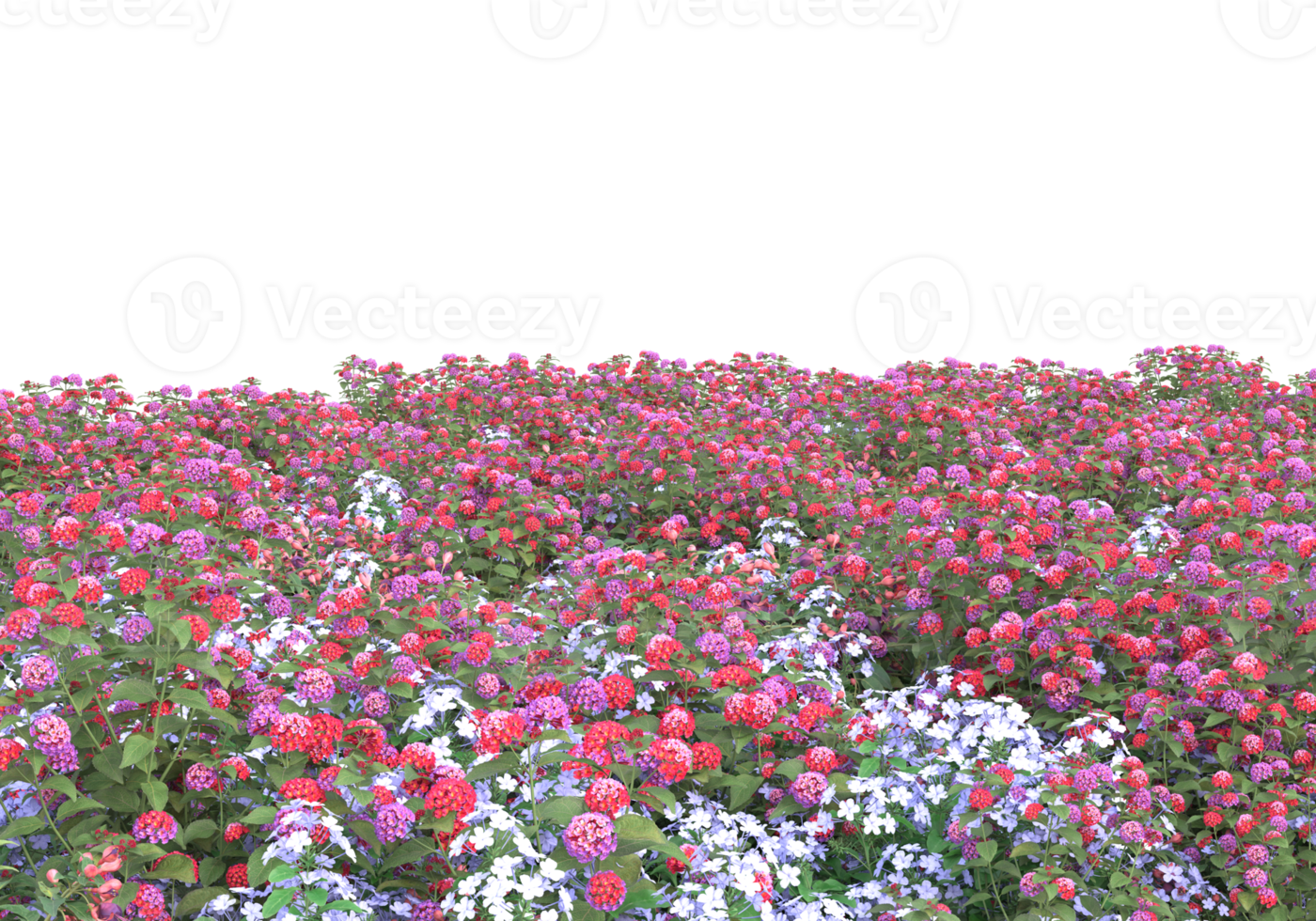 Grass with flowers isolated on transparent background. 3d rendering - illustration png