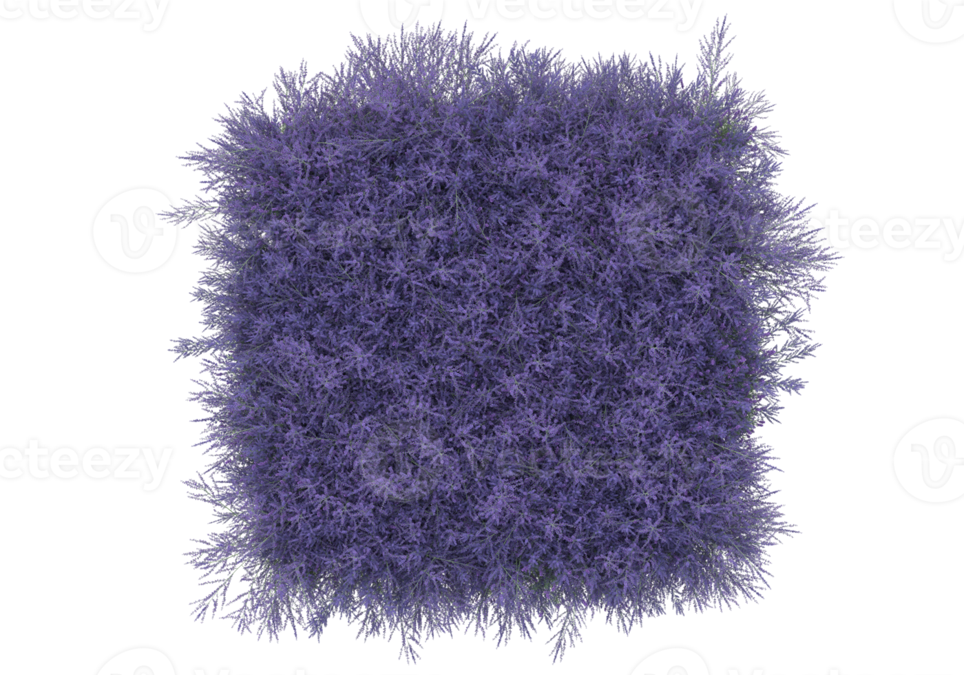 herbe avec des fleurs isolées sur fond transparent. rendu 3d - illustration png