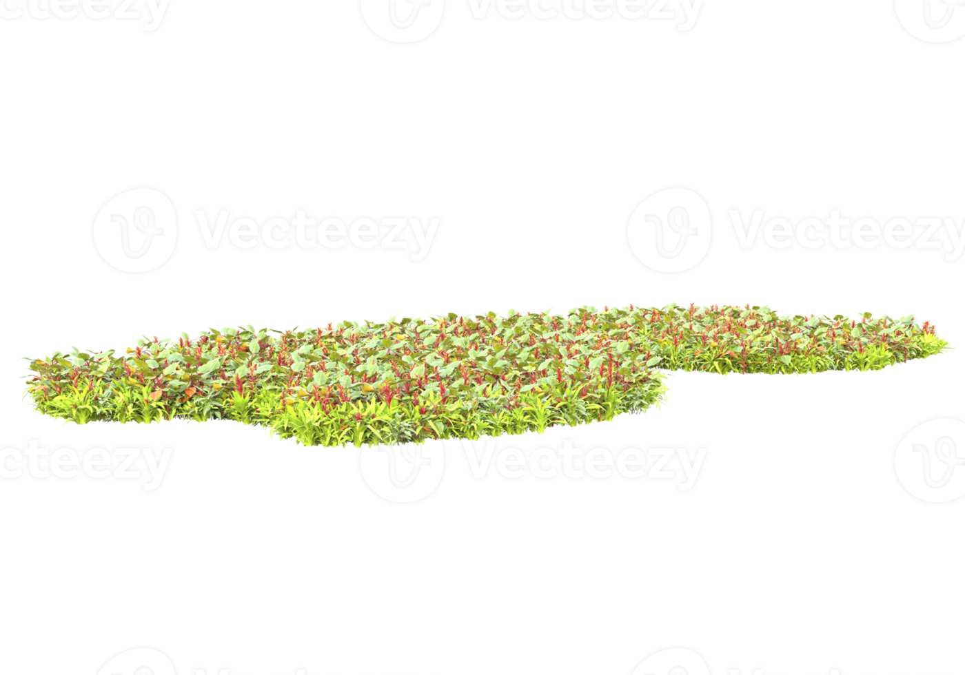 Grass with flowers isolated on transparent background. 3d rendering - illustration png
