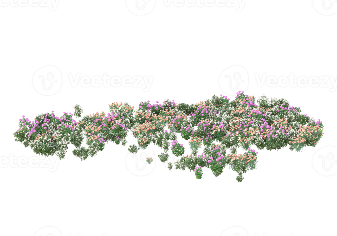 gräs med blommor isolerat på transparent bakgrund. 3d tolkning - illustration png