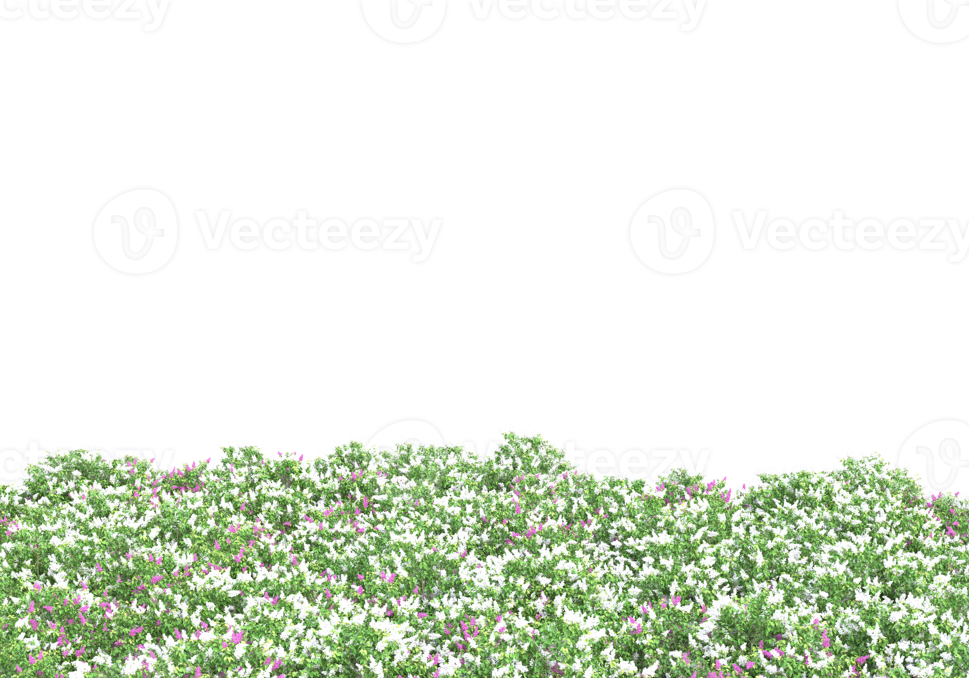 herbe avec des fleurs isolées sur fond transparent. rendu 3d - illustration png