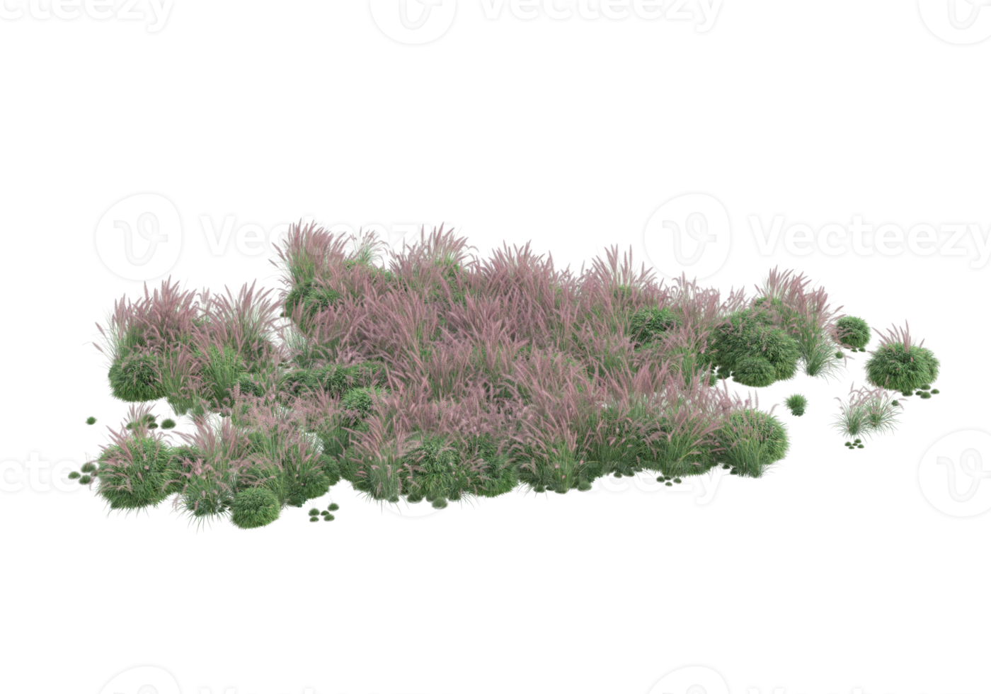 Gras mit Blumen isoliert auf transparentem Hintergrund. 3D-Rendering - Abbildung png