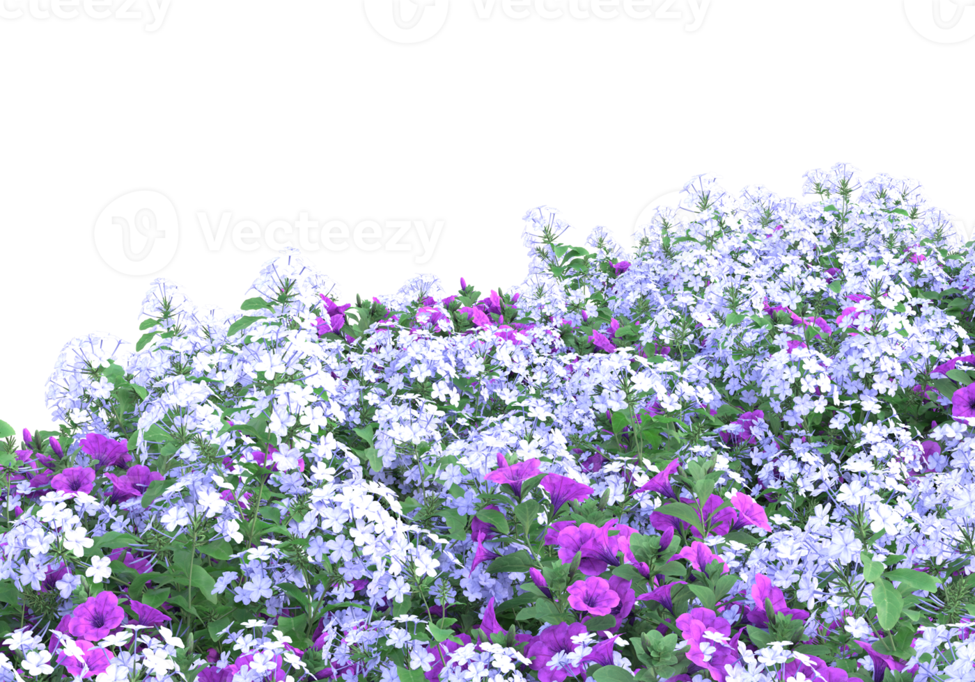 Grass with flowers isolated on transparent background. 3d rendering - illustration png