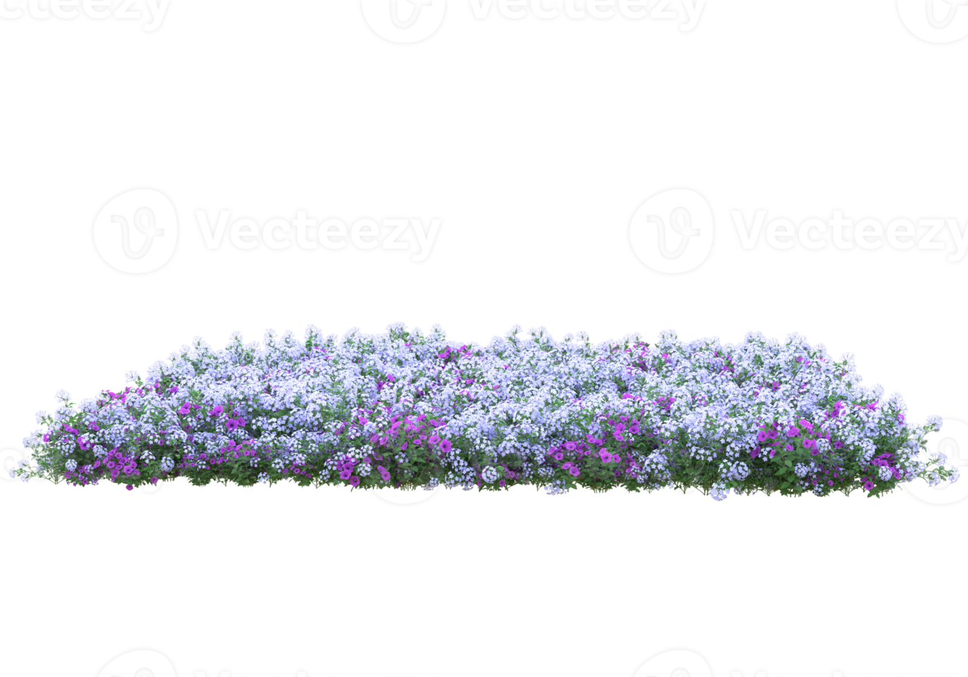 hierba con flores aisladas sobre fondo transparente. Representación 3d - ilustración png