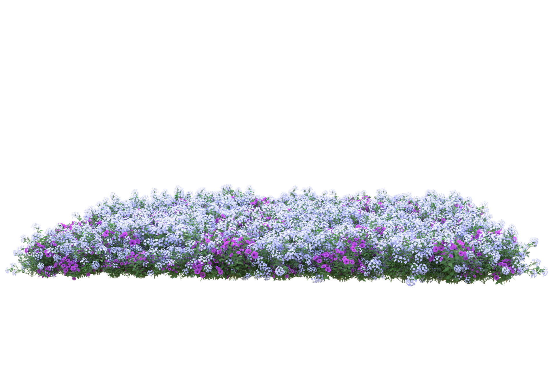 Grass with flowers isolated on transparent background. 3d rendering