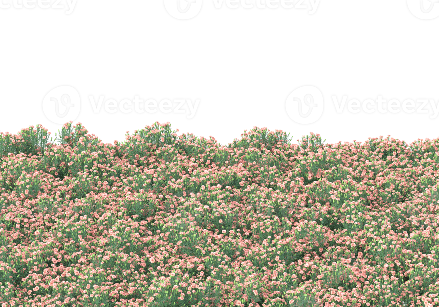 Grass with flowers isolated on transparent background. 3d rendering - illustration png