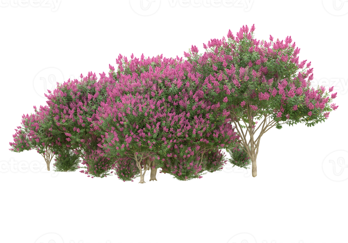 Grass with flowers isolated on transparent background. 3d rendering - illustration png