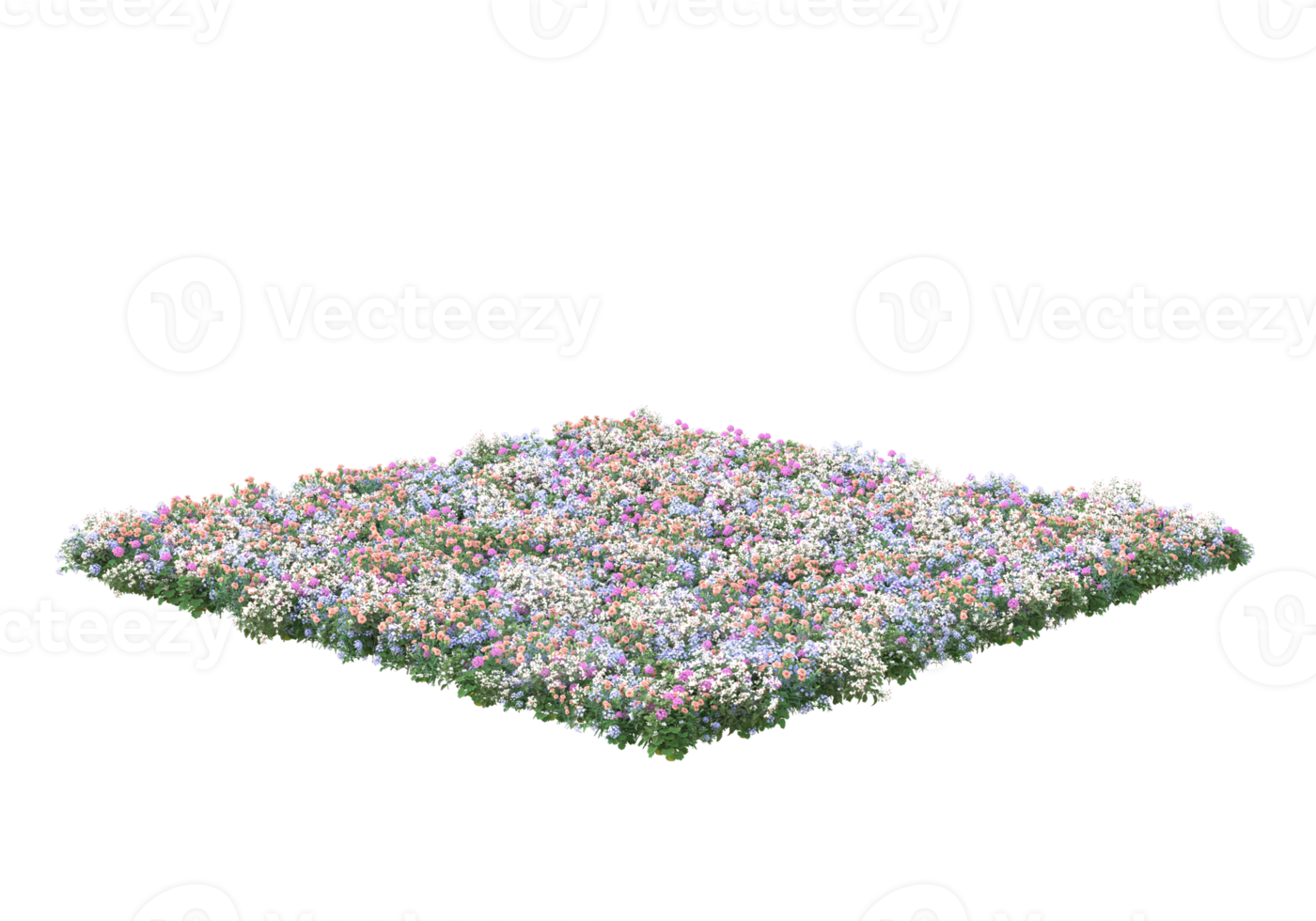 gras met bloemen geïsoleerd Aan transparant achtergrond. 3d renderen - illustratie png