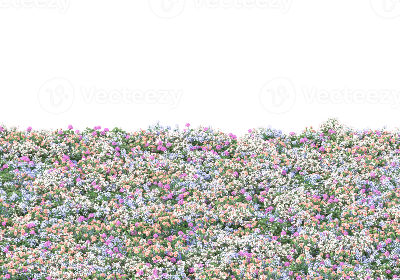 Grass with flowers isolated on transparent background. 3d rendering - illustration png