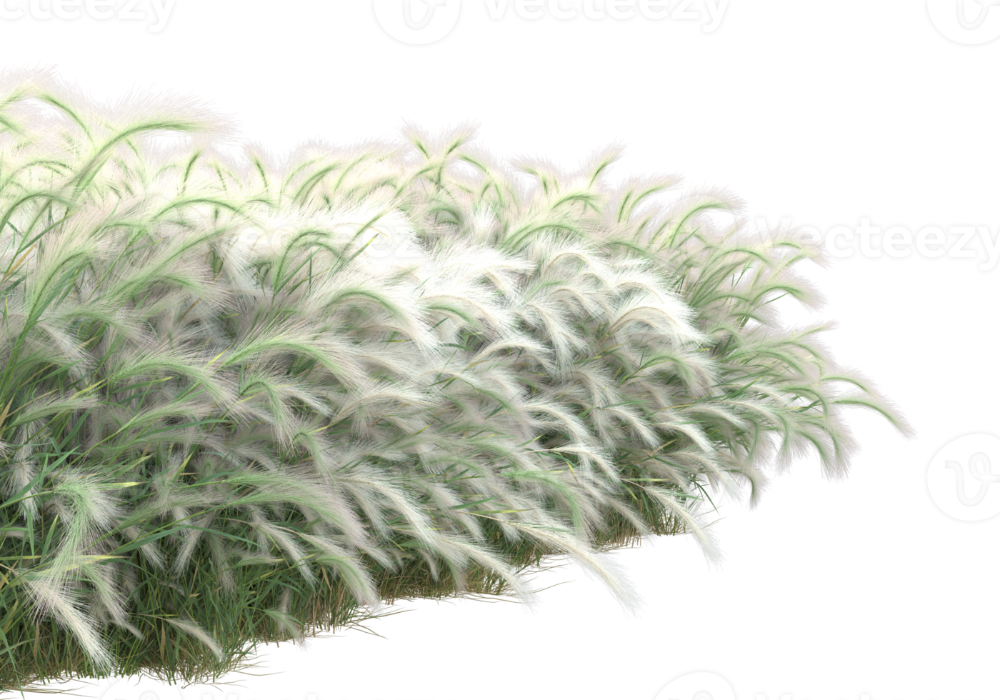 Grass with flowers isolated on transparent background. 3d rendering - illustration png