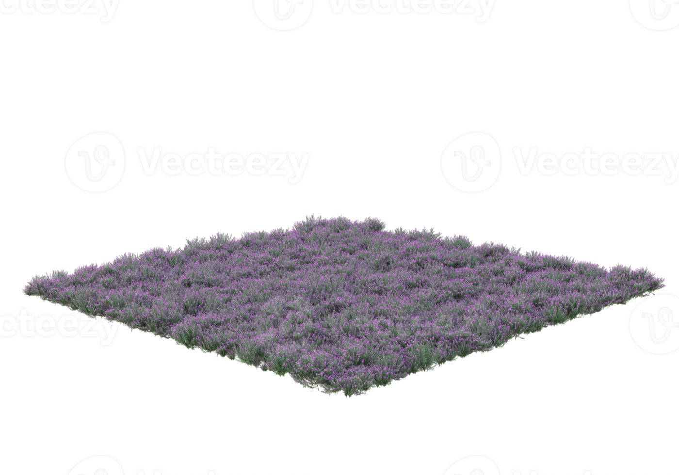Grass with flowers isolated on transparent background. 3d rendering - illustration png