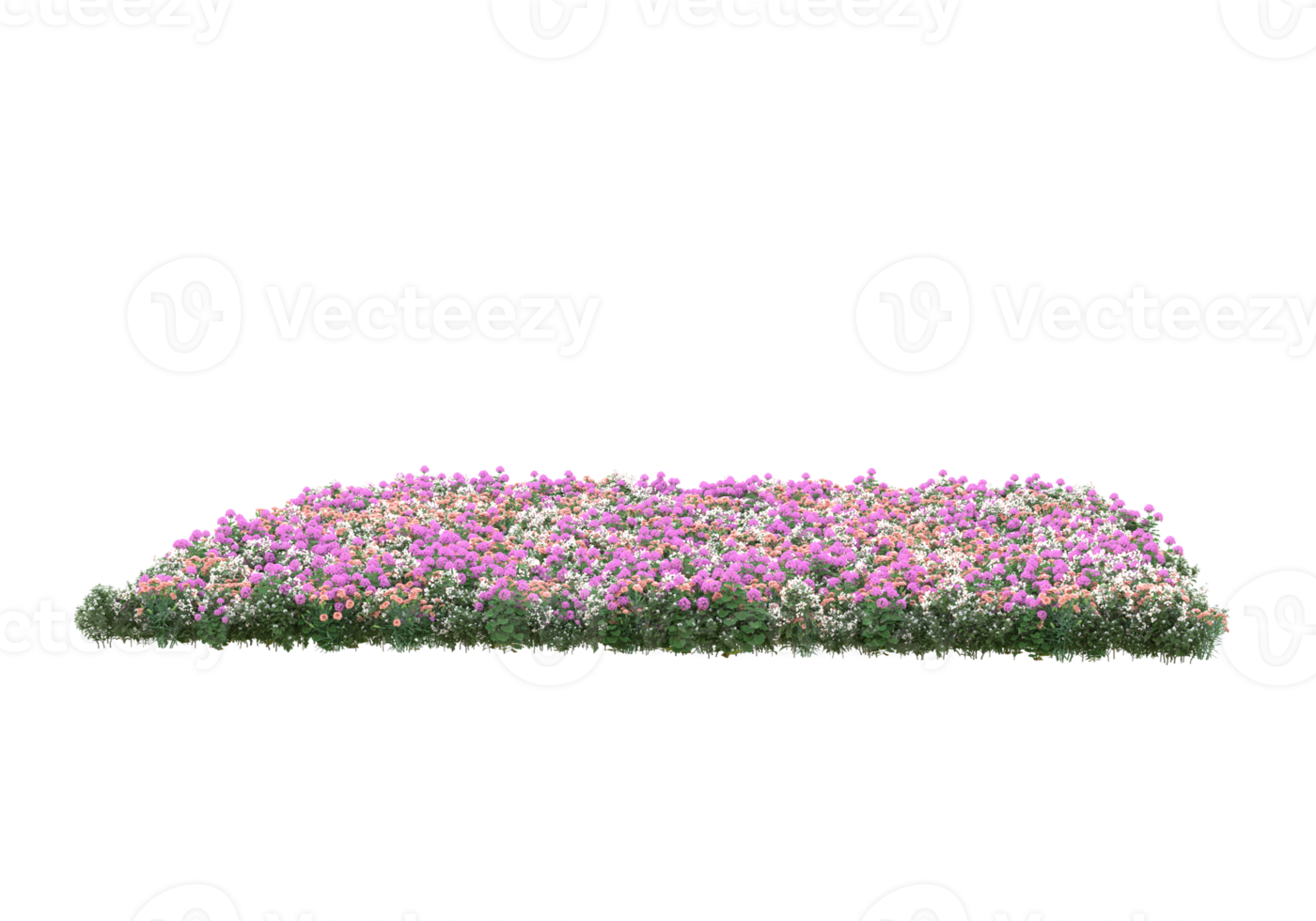 Grass with flowers isolated on transparent background. 3d rendering - illustration png