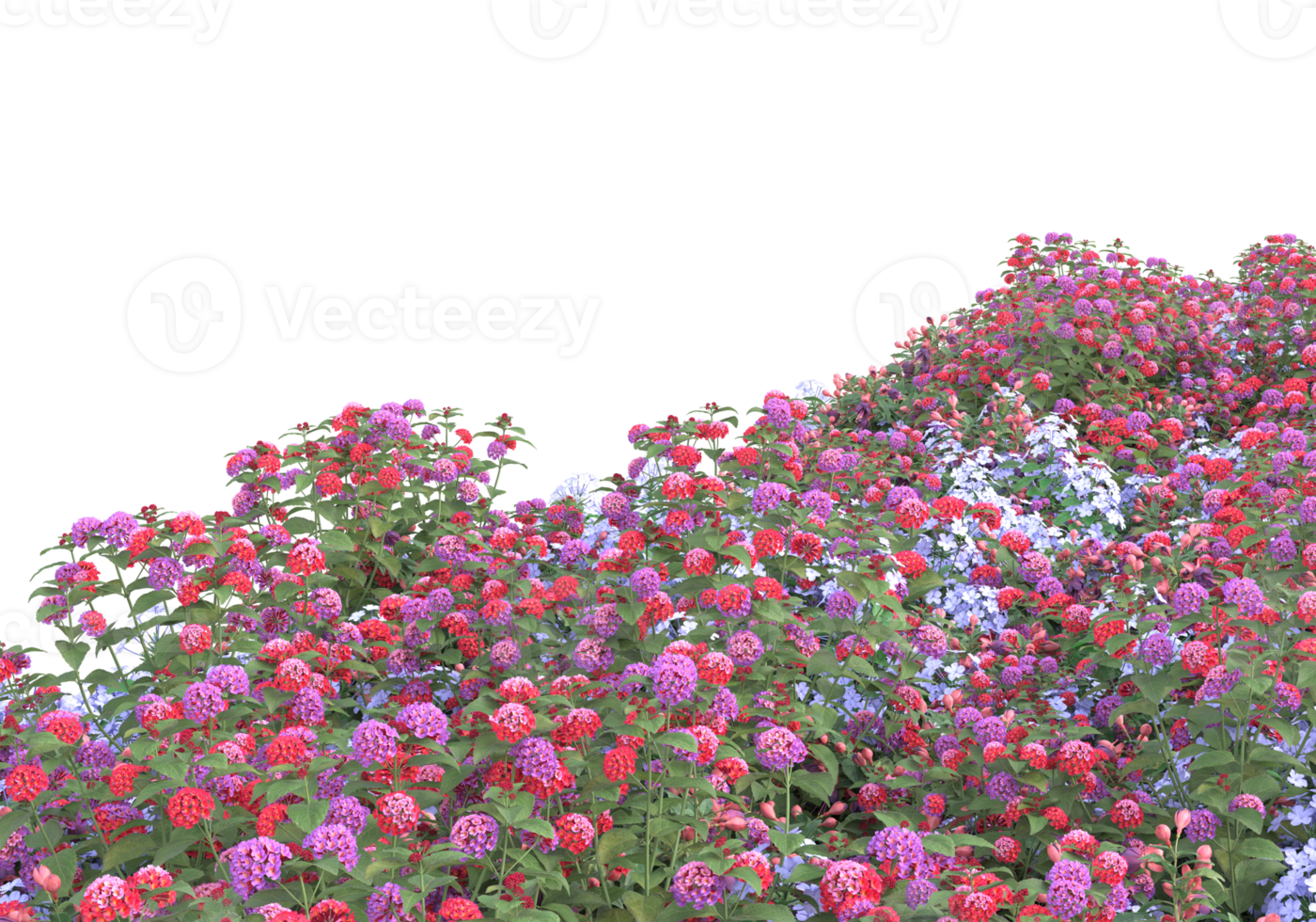 Grass with flowers isolated on transparent background. 3d rendering - illustration png