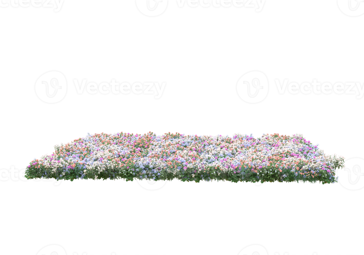 Grass with flowers isolated on transparent background. 3d rendering - illustration png